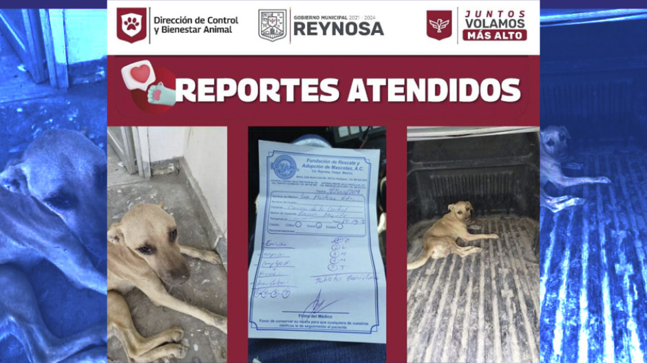 Privilegia Alcalde Carlos Peña Ortiz atención de denuncias ciudadanas 