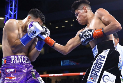 Box en vivo regresa a México