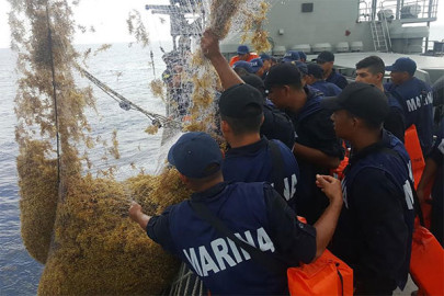 Realizan operativo para contener al sargazo