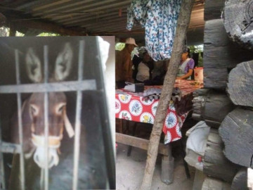 Denuncian arbitrariedades en San Sebastián