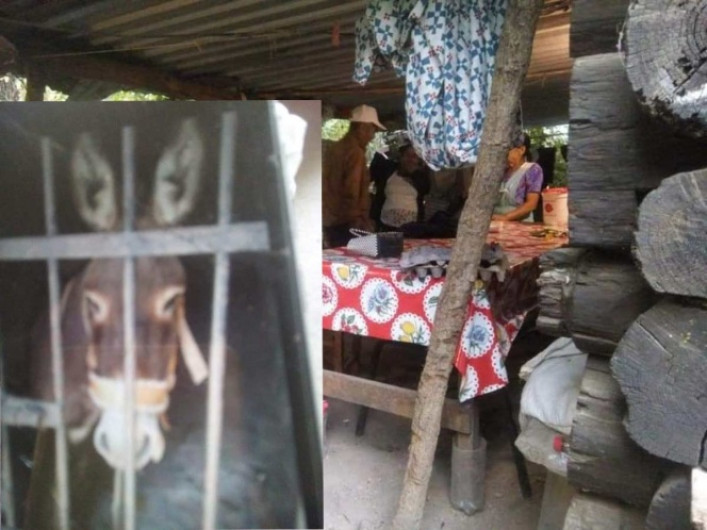 Denuncian arbitrariedades en San Sebastián