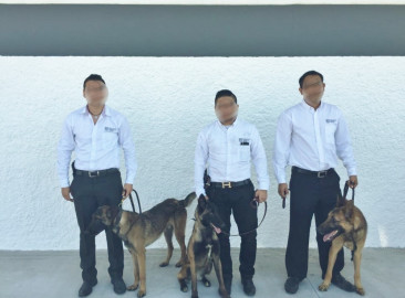 PGJT recibe 3 canes para la búsqueda