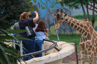 Prepara Zoológico Tamatán festejos por su 80 aniversario