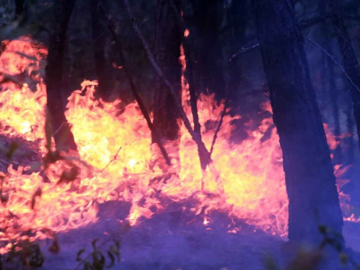 Continúa lucha por sofocar incendios forestales