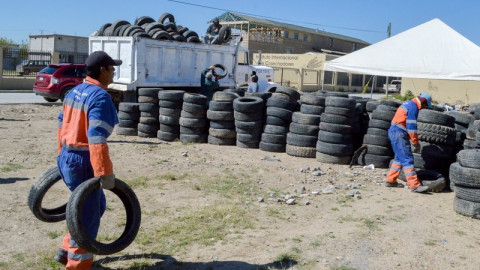 Recolectan más de 130 mil neumáticos de enero a junio