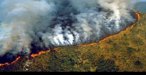 Bolsonaro culpa a Leonardo DiCaprio de los incendios en la Amazonia