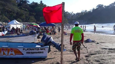 Serpientes marinas muerden a turistas en Nayarit