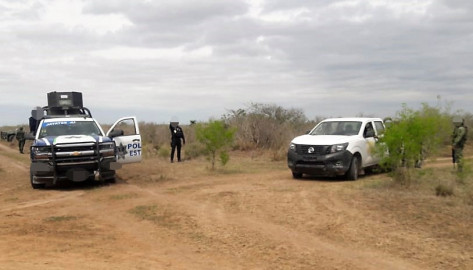 Recuperan vehículos con reporte de robo