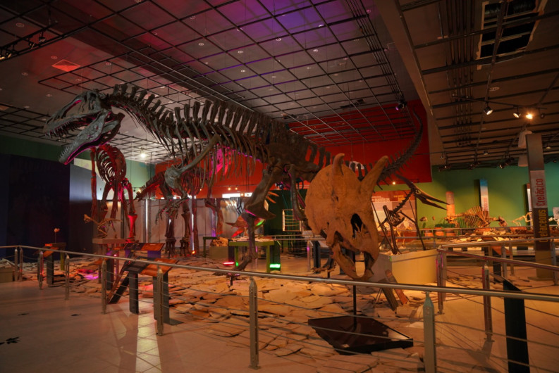 Invita Gobierno Municipal a divertirse en museos de la ciudad 