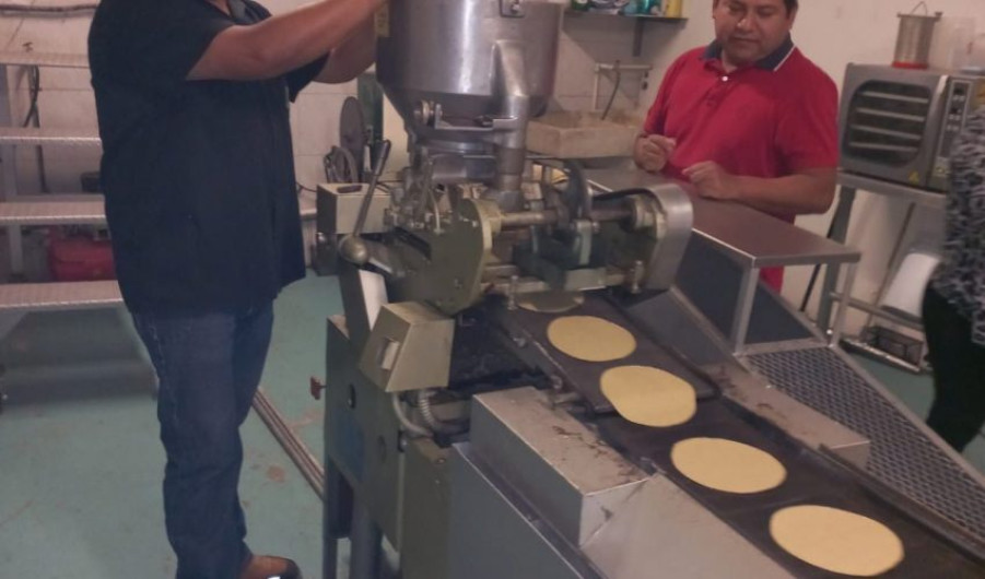 Avanza Tamaulipas en evaluación de procesos para producir harina de sorgo nixtamalizado