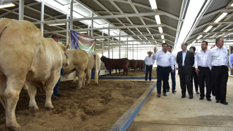 Abre China puertas a productores tamaulipecos