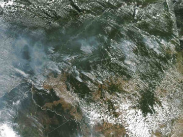 Protestan para que Brasil controle incendios en el Amazonas
